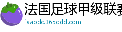 法国足球甲级联赛